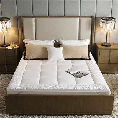فرق محافظ سخت با محافظ نرم چیست؟